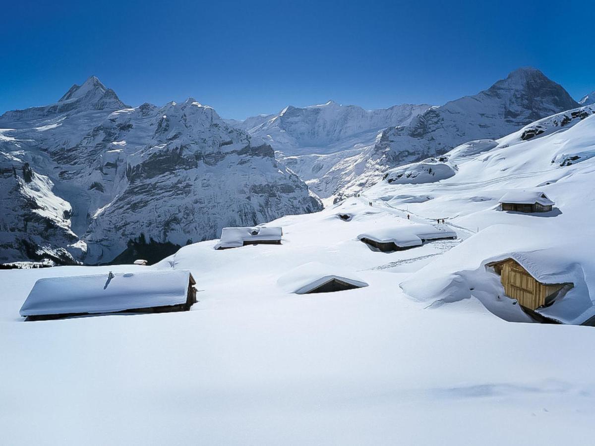 Apartment Chalet Almisräba Grindelwald Exterior foto